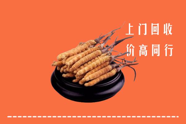 高价求购：呼和浩特武川县回收散虫草