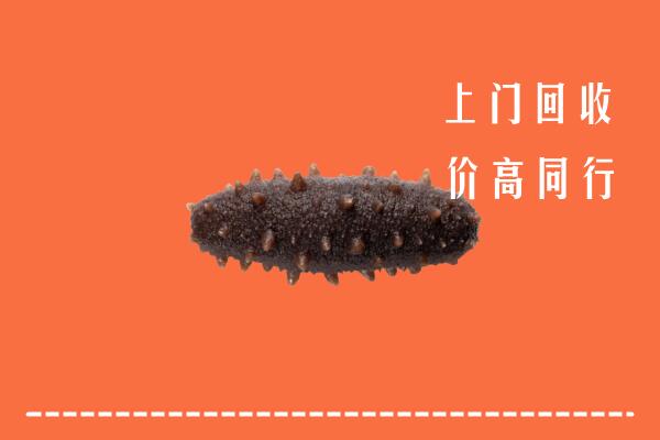 呼和浩特武川县回收海参