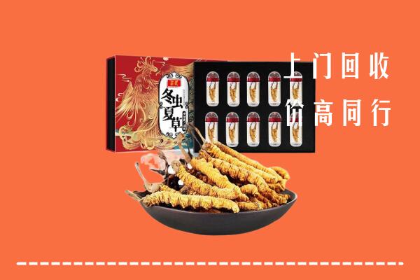 呼和浩特武川县回收虫草